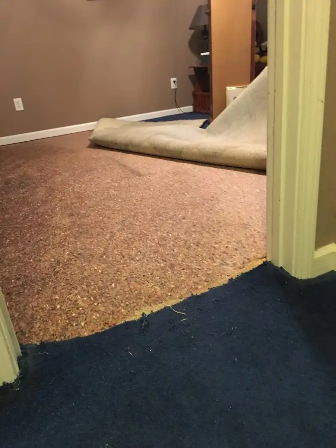 Carpet pad removal revealing water damage during Water Mitigation Services in Mendota Heights
