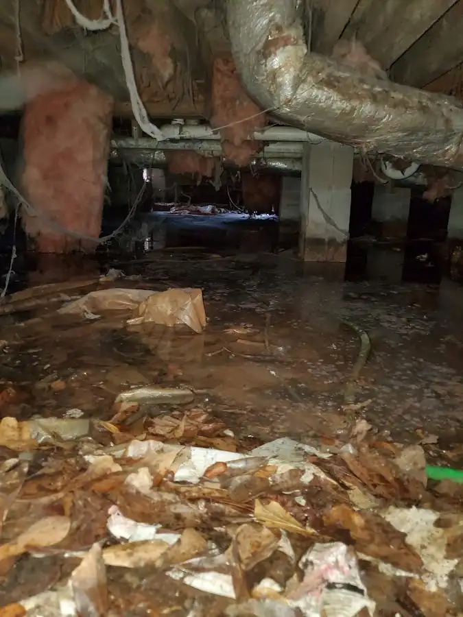 Crawl space flood assessment for Leak Detection & Repair in Mendota Heights