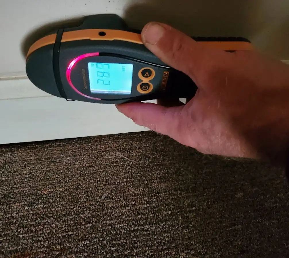 Moisture detection at baseboard during Storm Damage Restoration in Mendota Heights